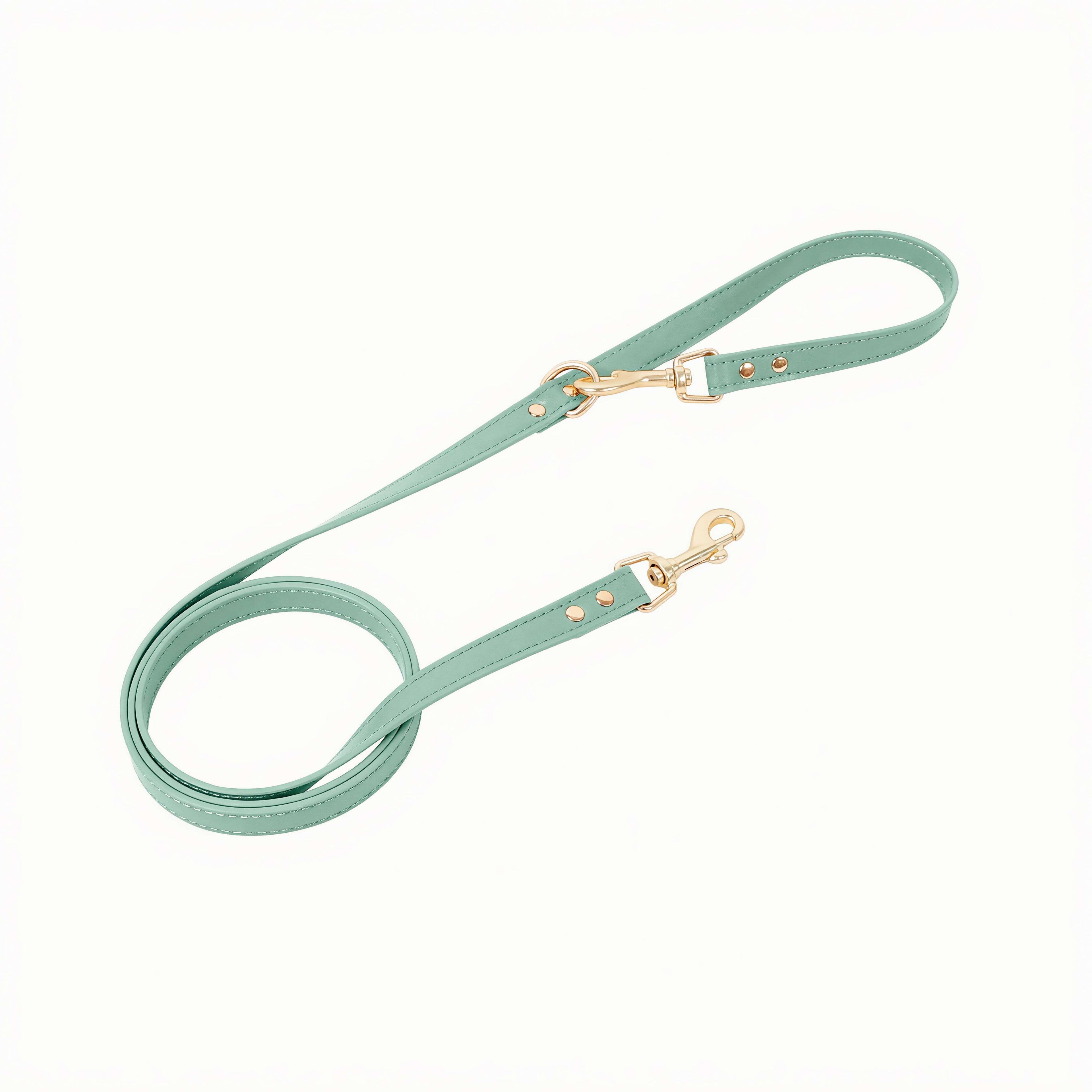 Premium Leather Cat Leash