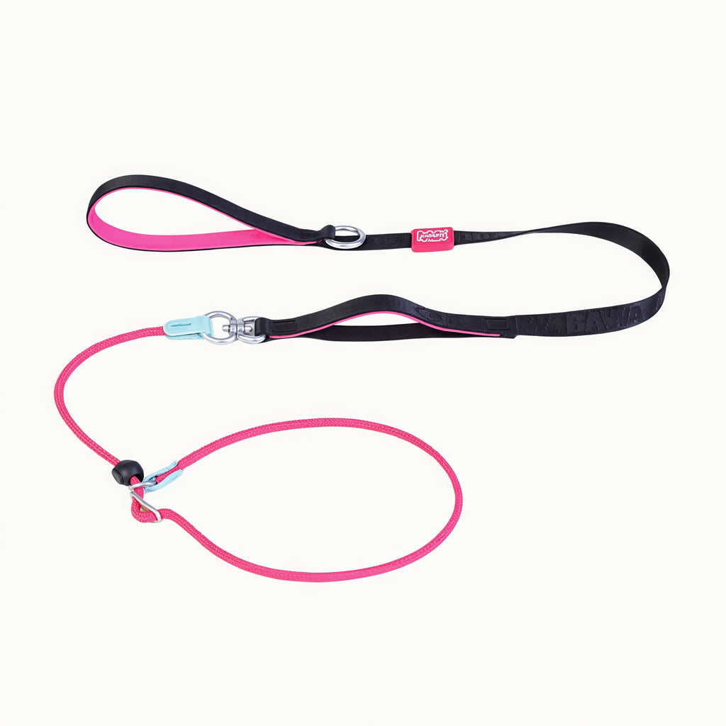 Heavy Duty Dog Leash