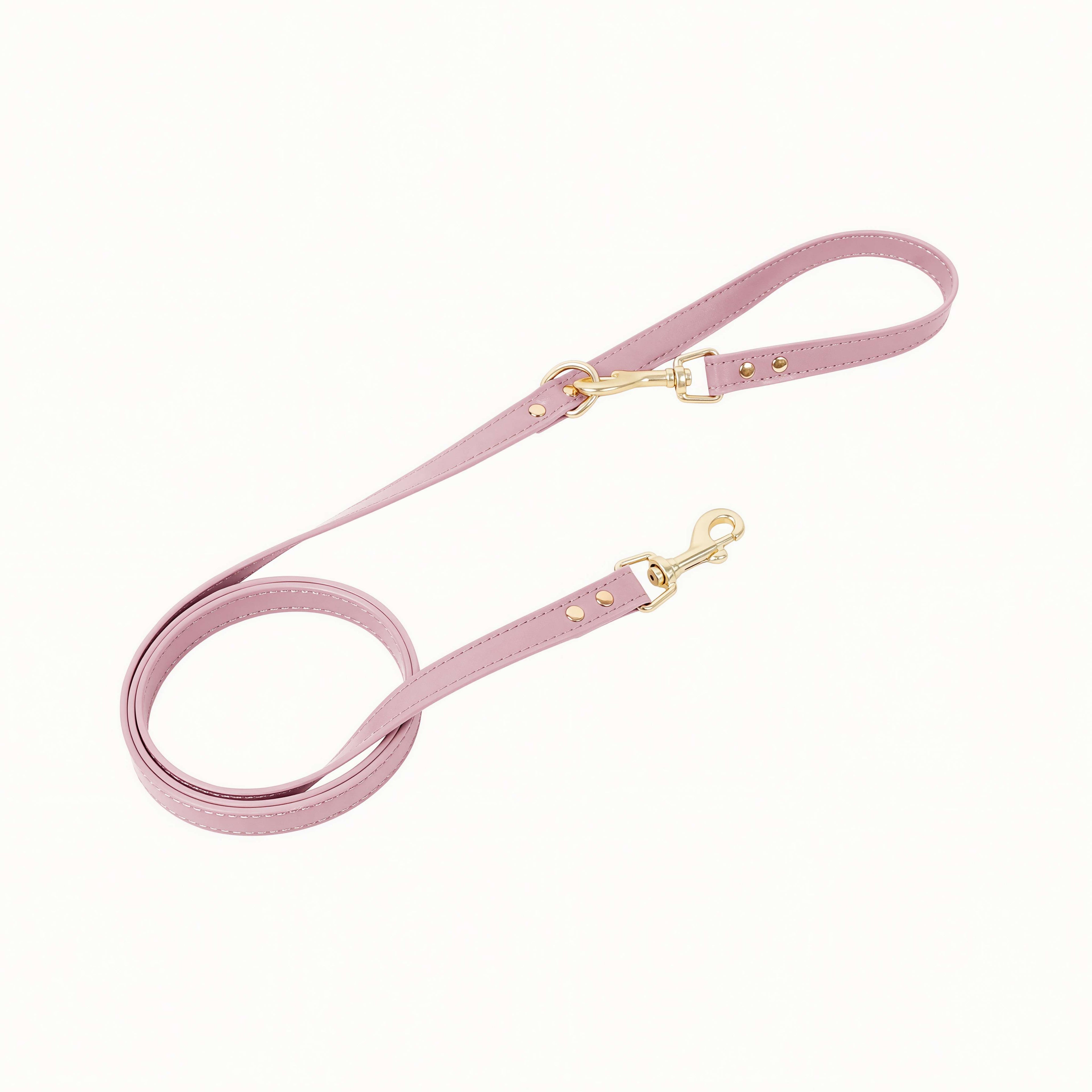 Premium Leather Cat Leash