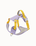 Breathable Mesh Dog Harness