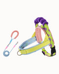 Soft Padded Dog Harness & Leash Set