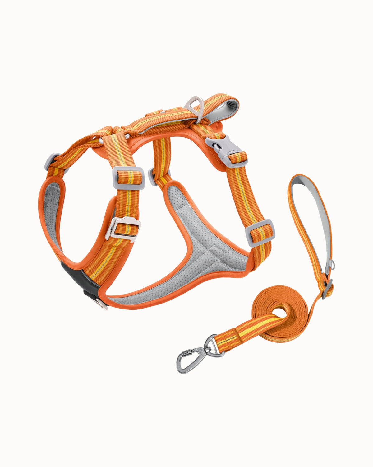 Reflective Dog Harness & Leash Set