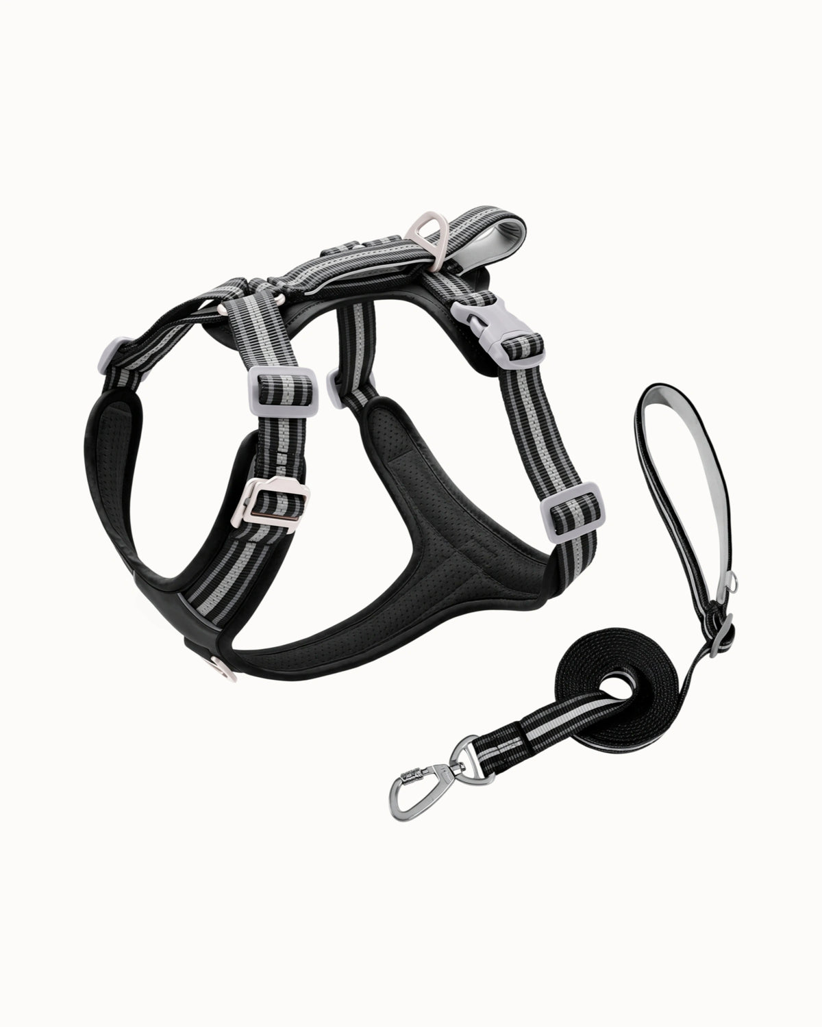 Reflective Dog Harness & Leash Set