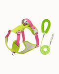 Escape-Resistant Dog Harness & Leash Set