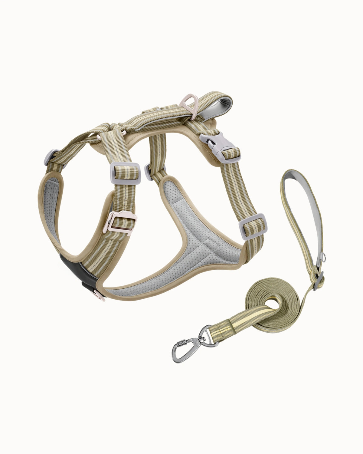 Reflective Dog Harness & Leash Set