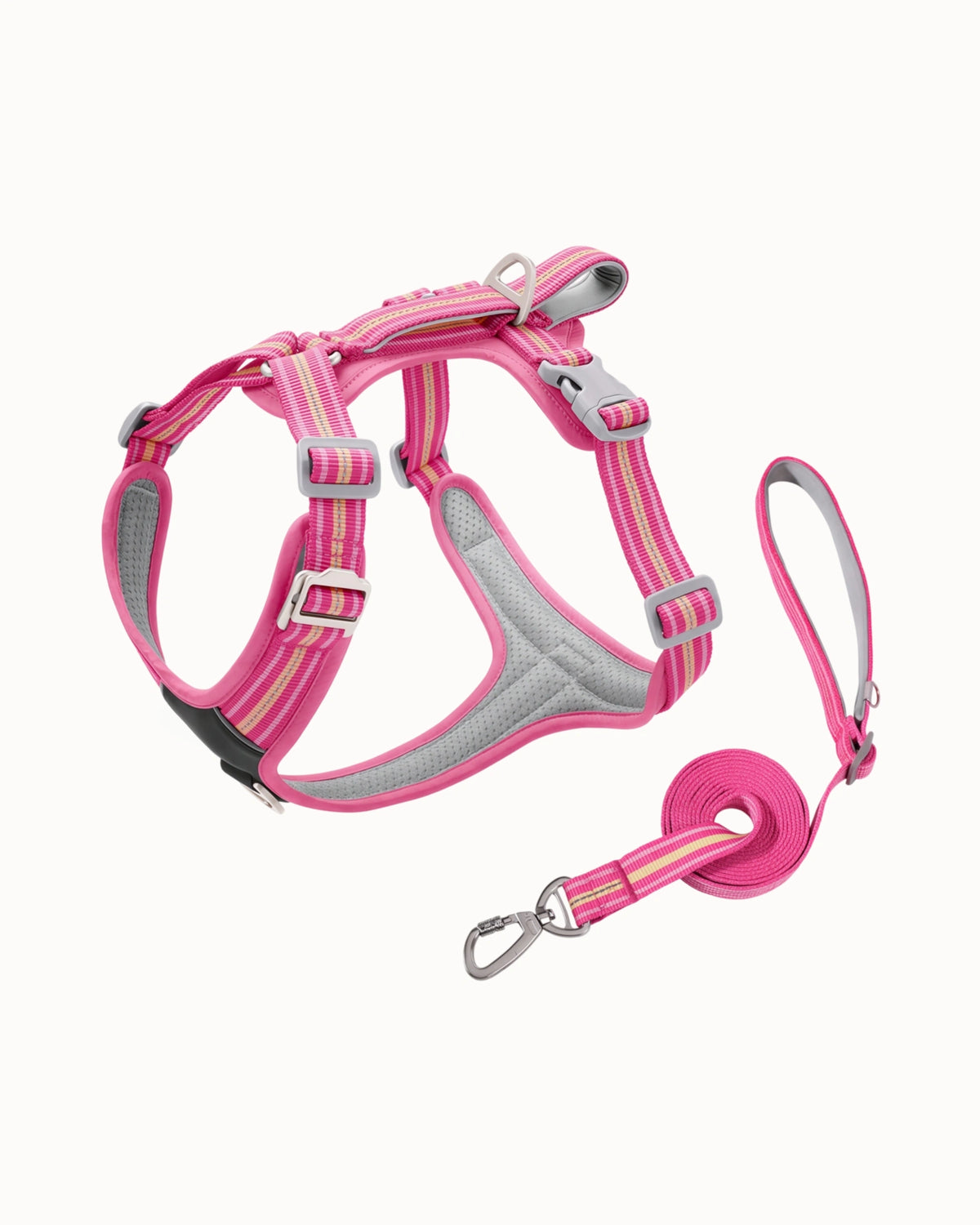 Reflective Dog Harness & Leash Set