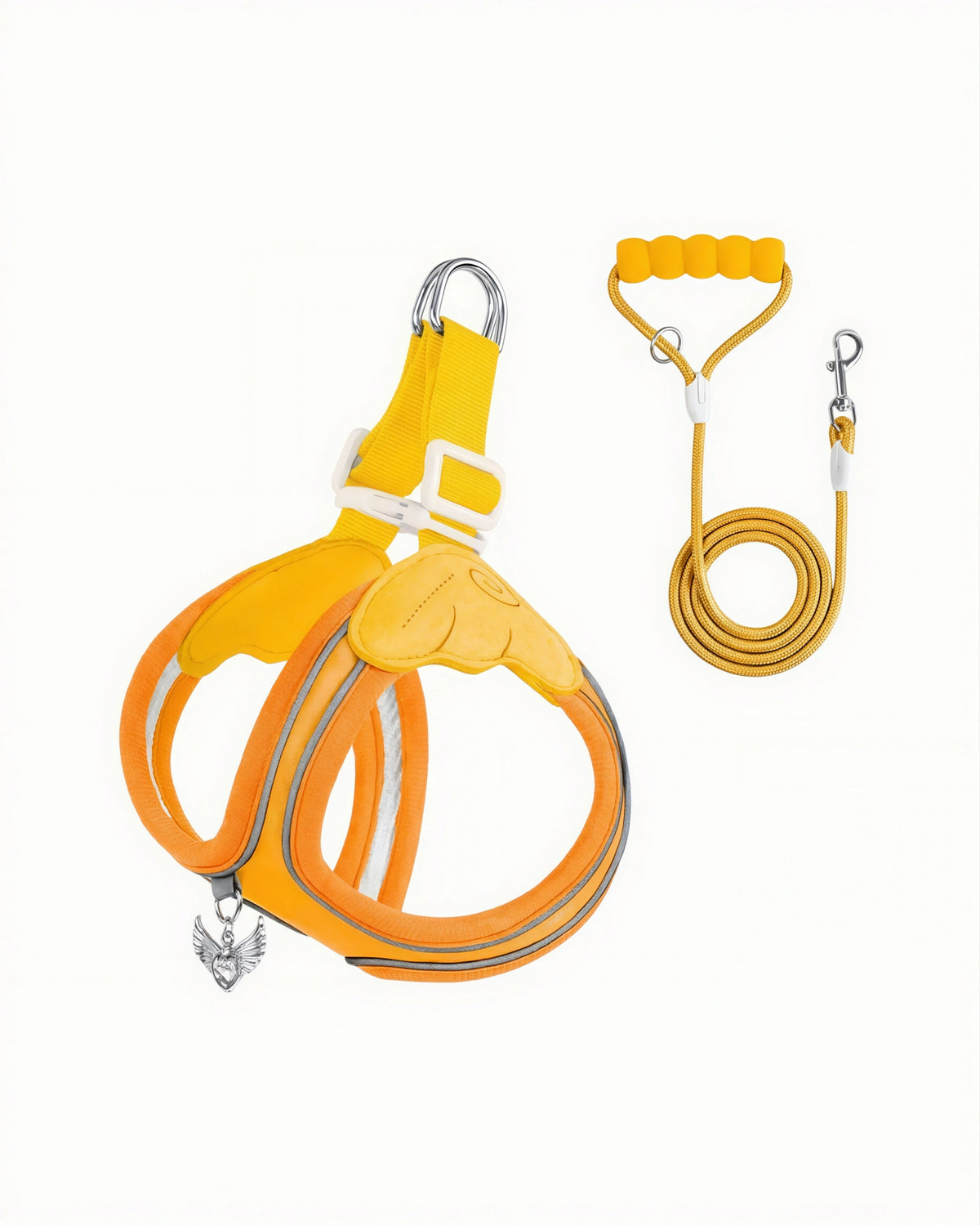 Water-Resistant Dog Harness & Leash Set