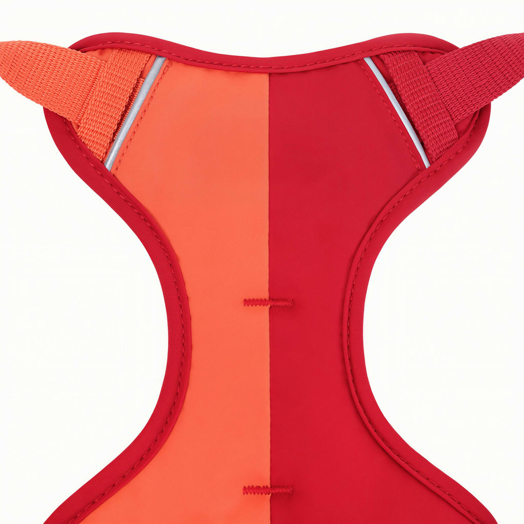 Two Tone Dog Harness & Leash Set