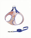 Bubble Mesh Dog Harness & Leash Set