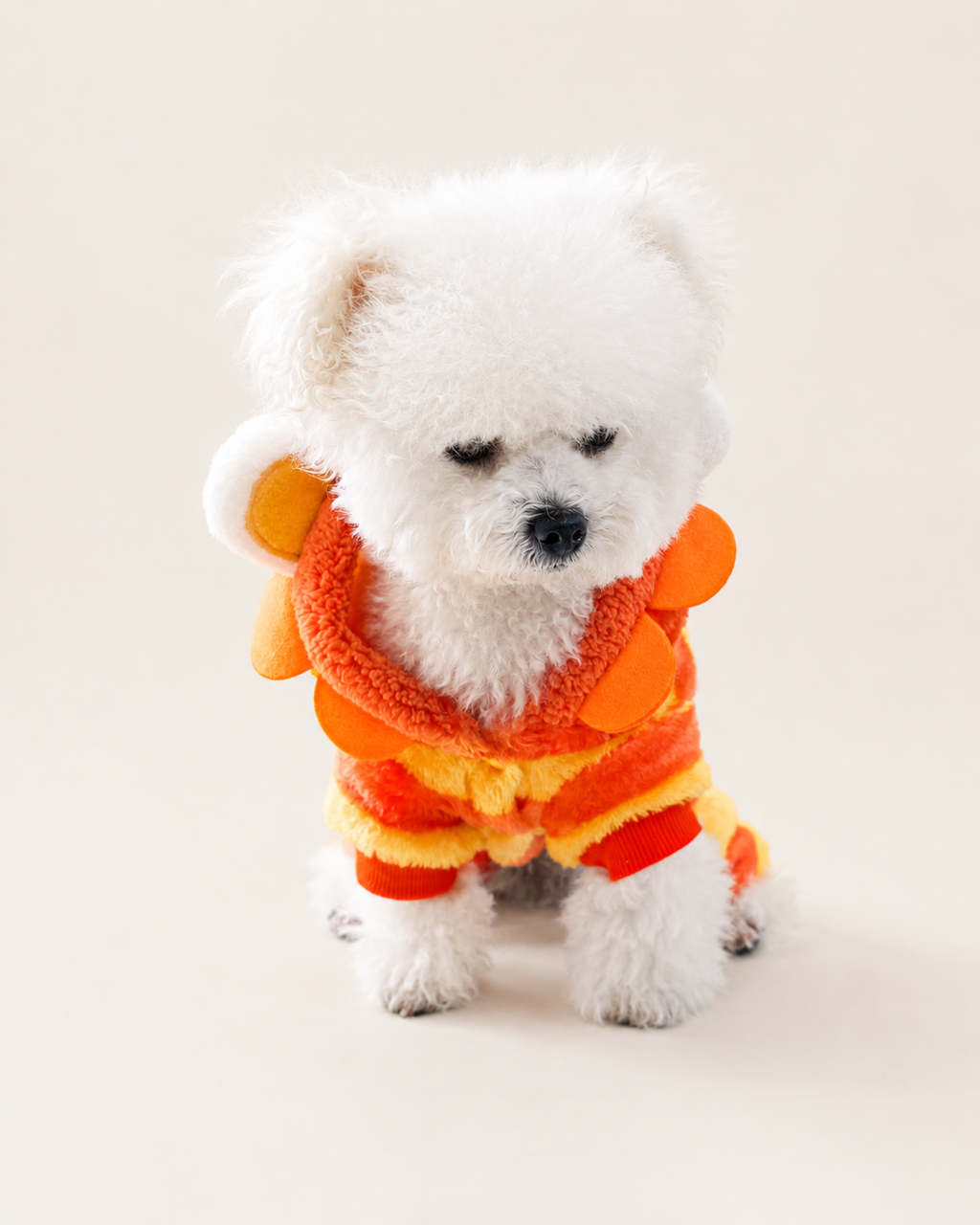 Pet Lion Costume
