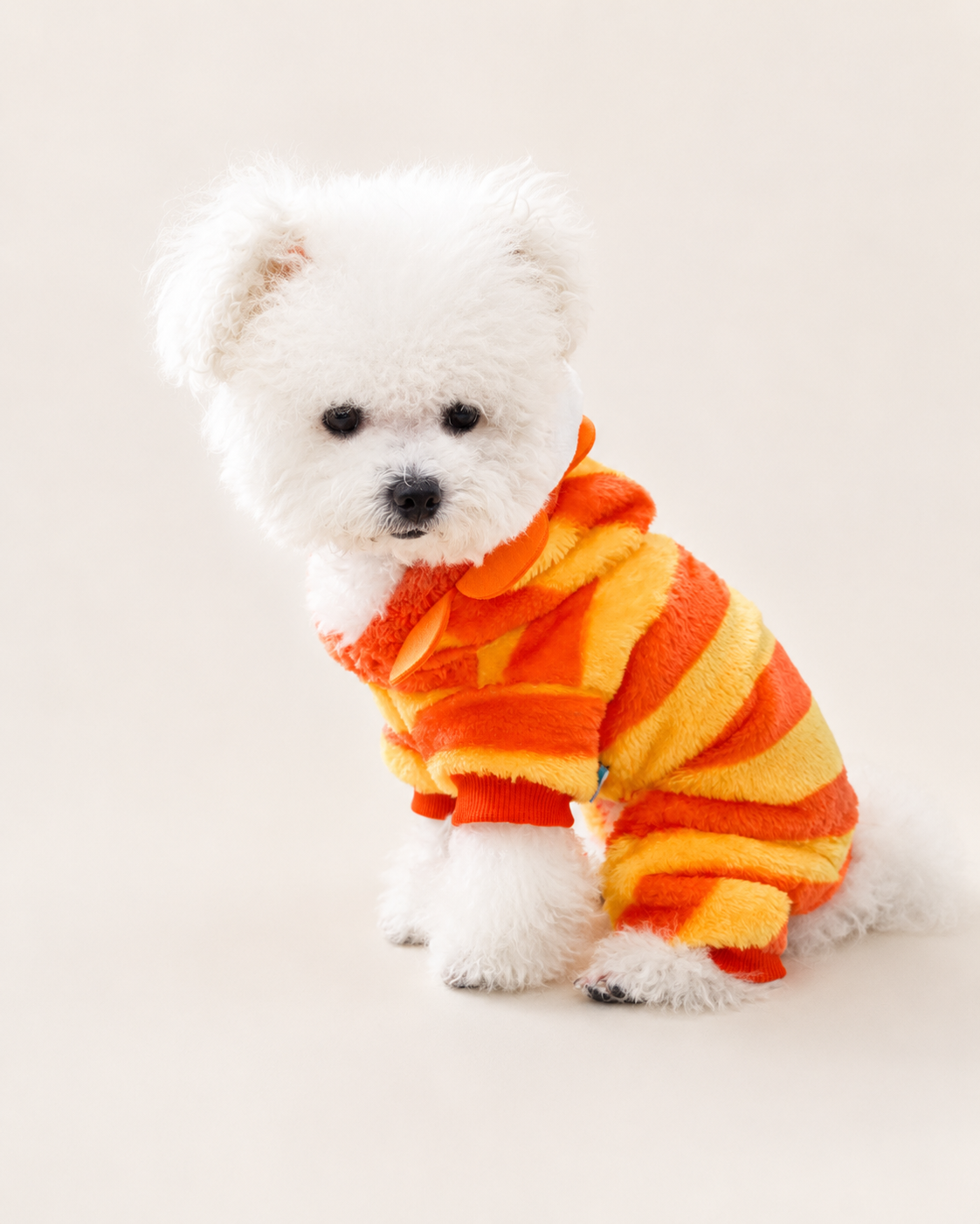 Pet Lion Costume