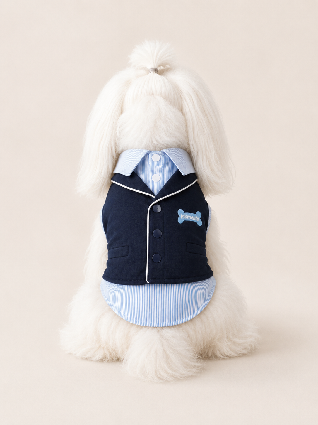 Dog Gentleman Outfit