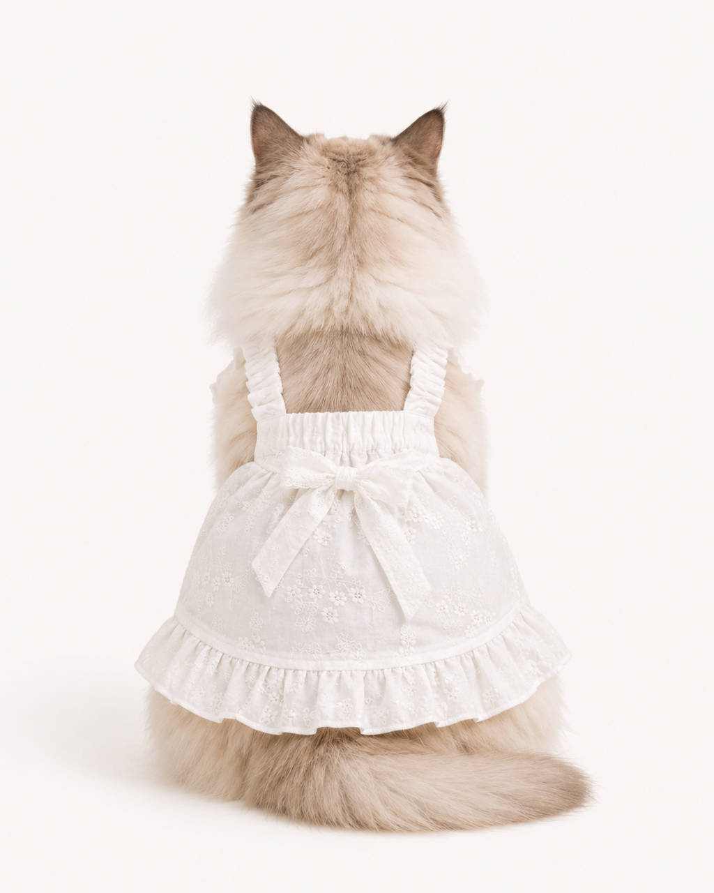 French Embroidered Cat Dress