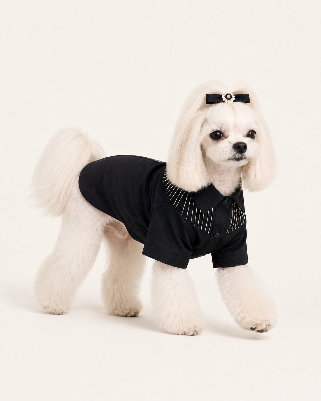 Luxury Rhinestone Fringe Pet Top