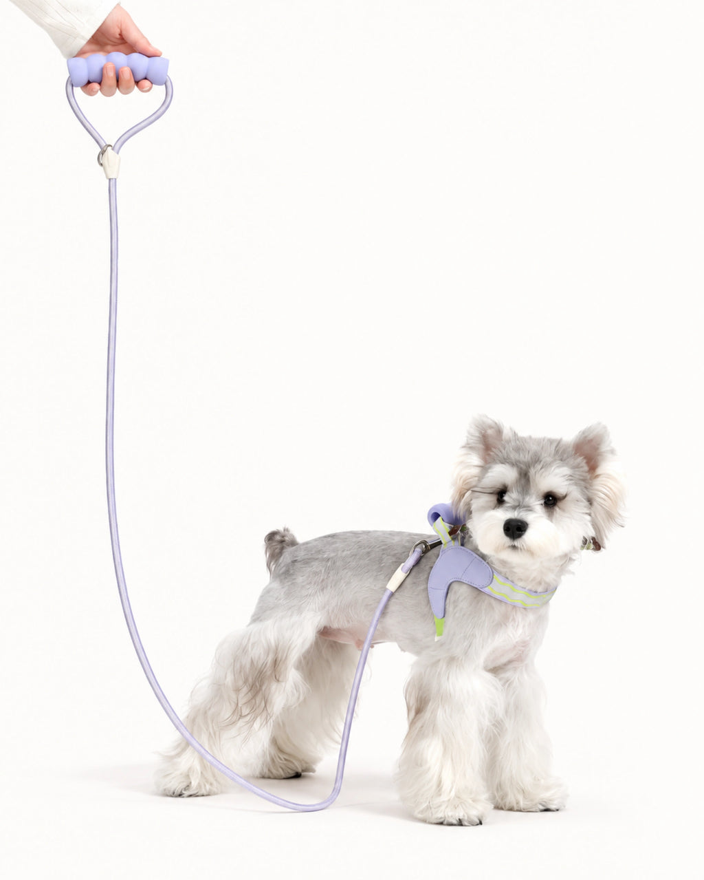 Padded Rope Dog Leash