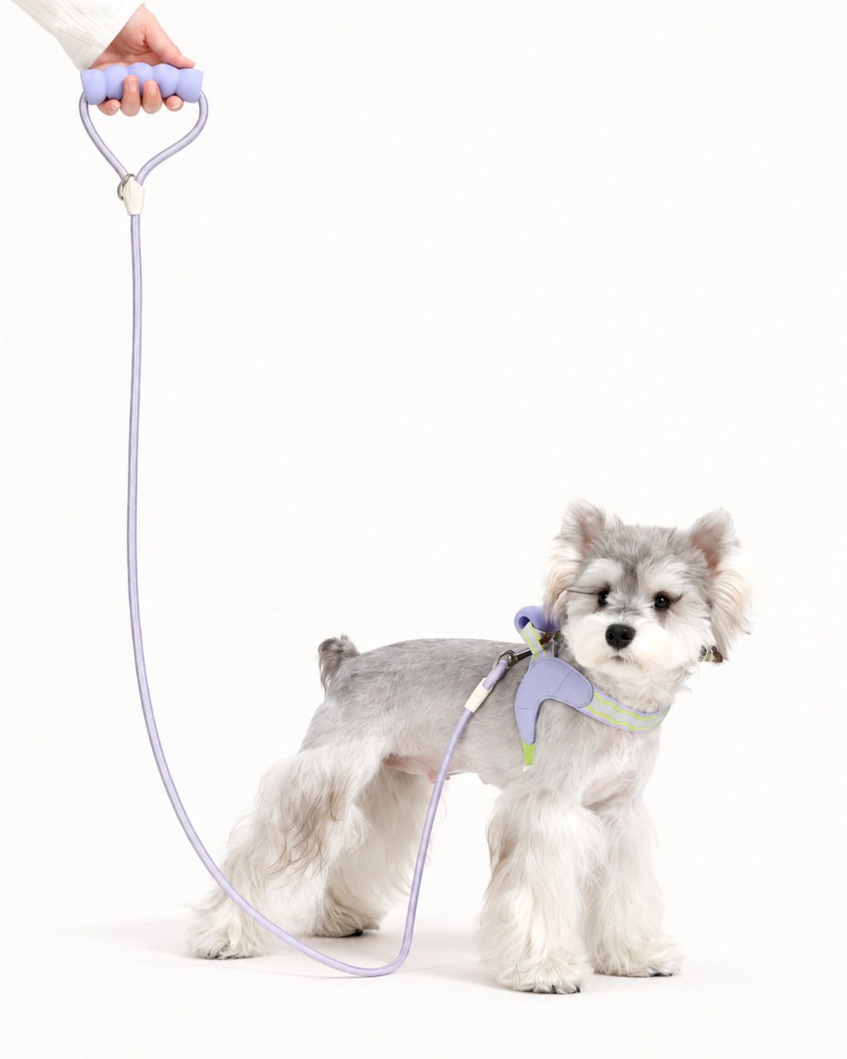 Padded Rope Dog Leash