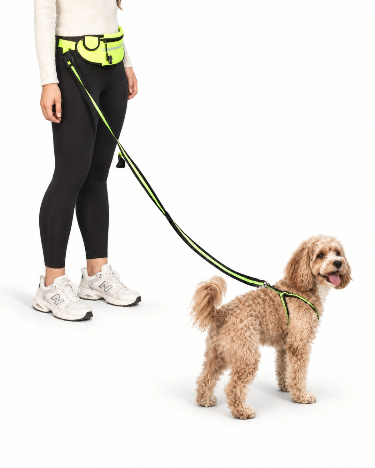 Hands-Free Running Dog Leash