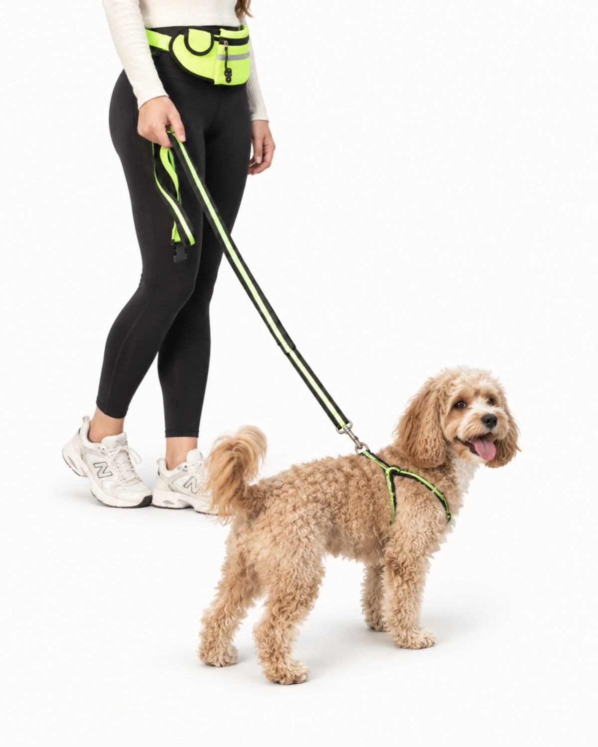Hands-Free Running Dog Leash