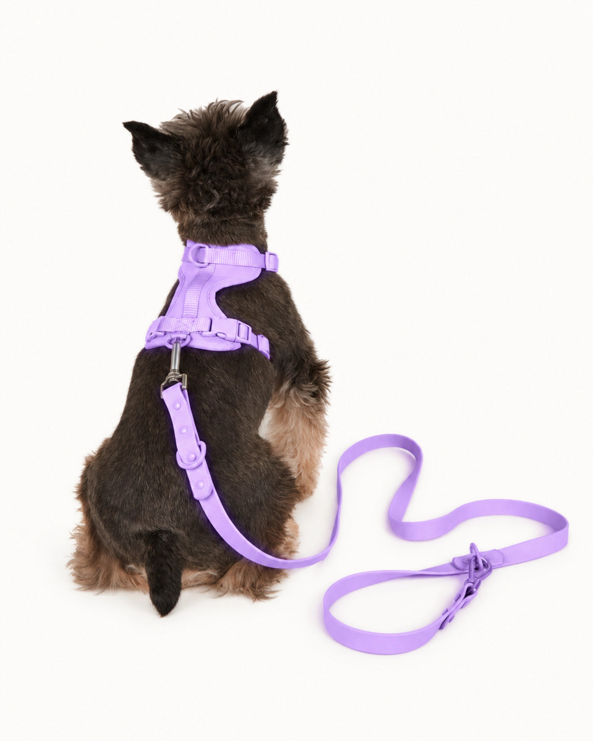 Breathable Mesh Dog Harness