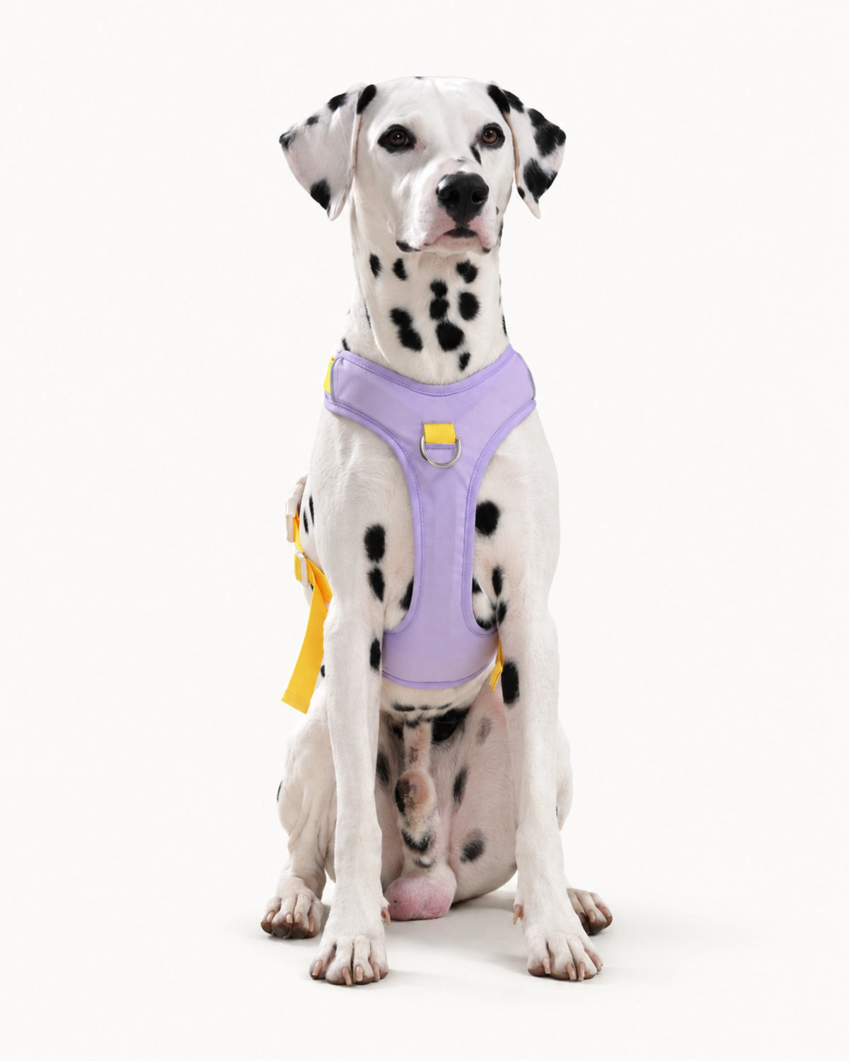 Breathable Mesh Dog Harness