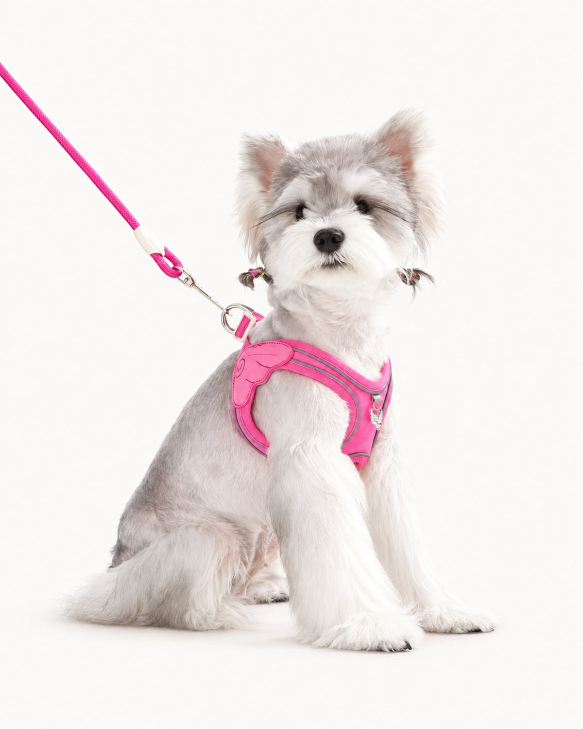 Water-Resistant Dog Harness & Leash Set