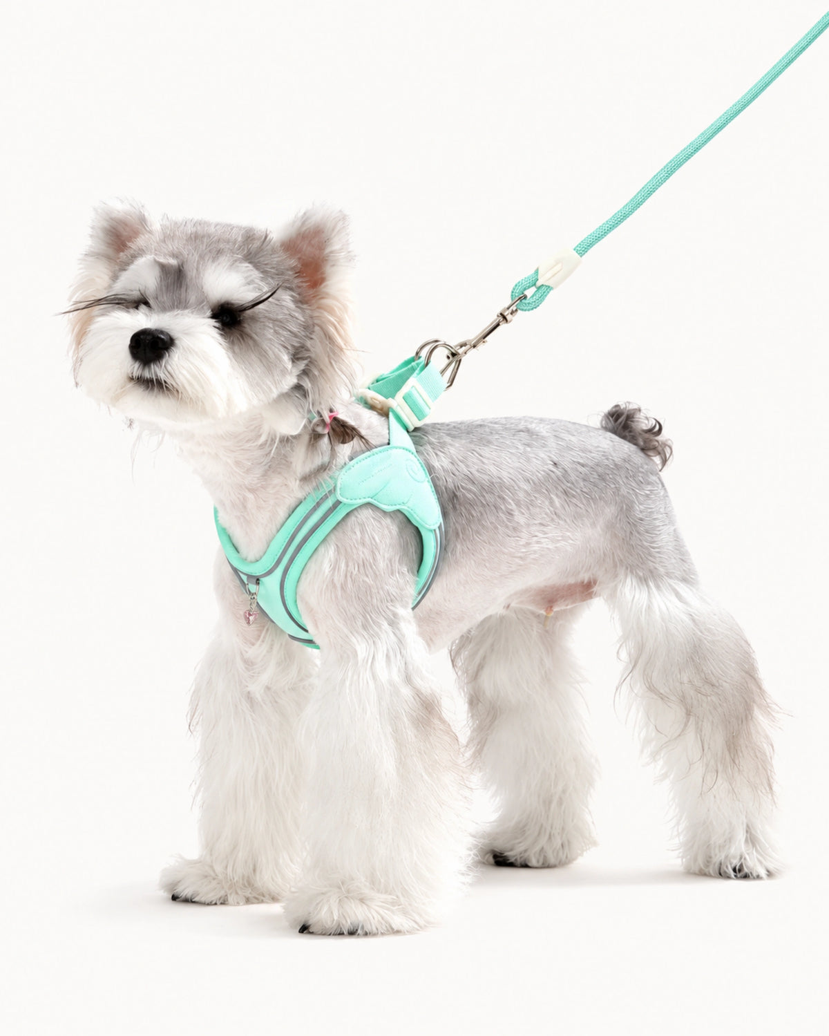Water-Resistant Dog Harness & Leash Set