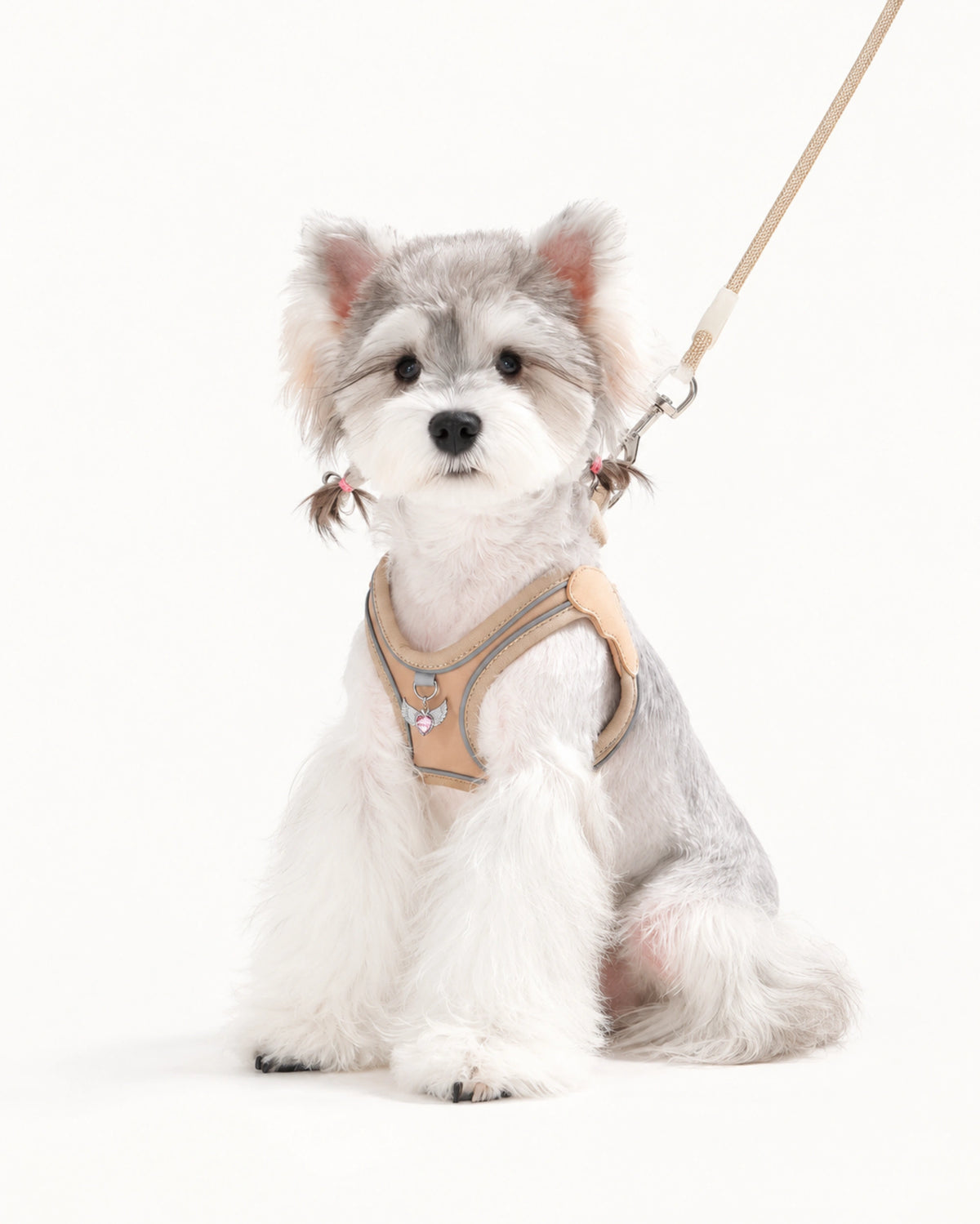 Water-Resistant Dog Harness & Leash Set