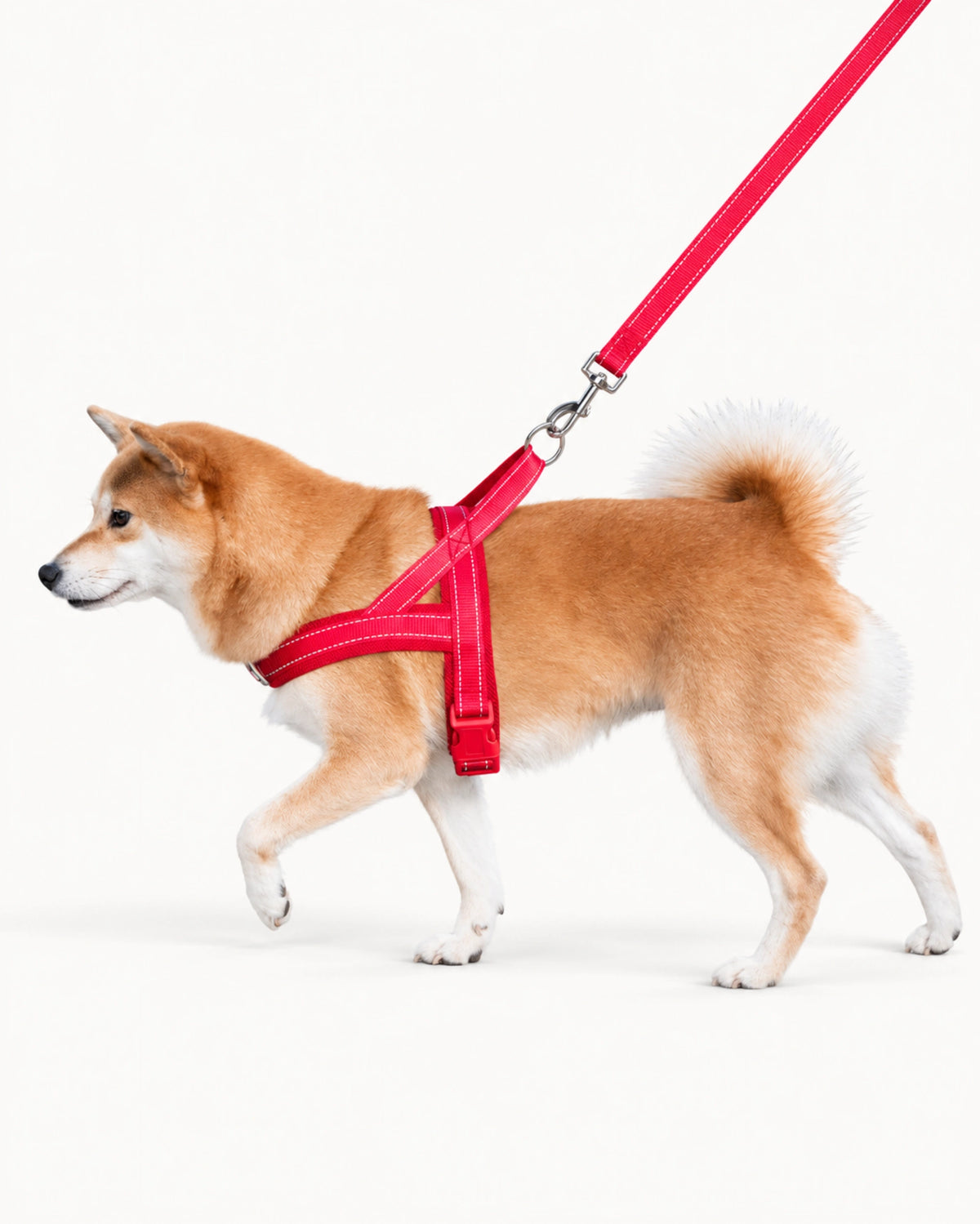 Reflective Adjustable Dog Harness