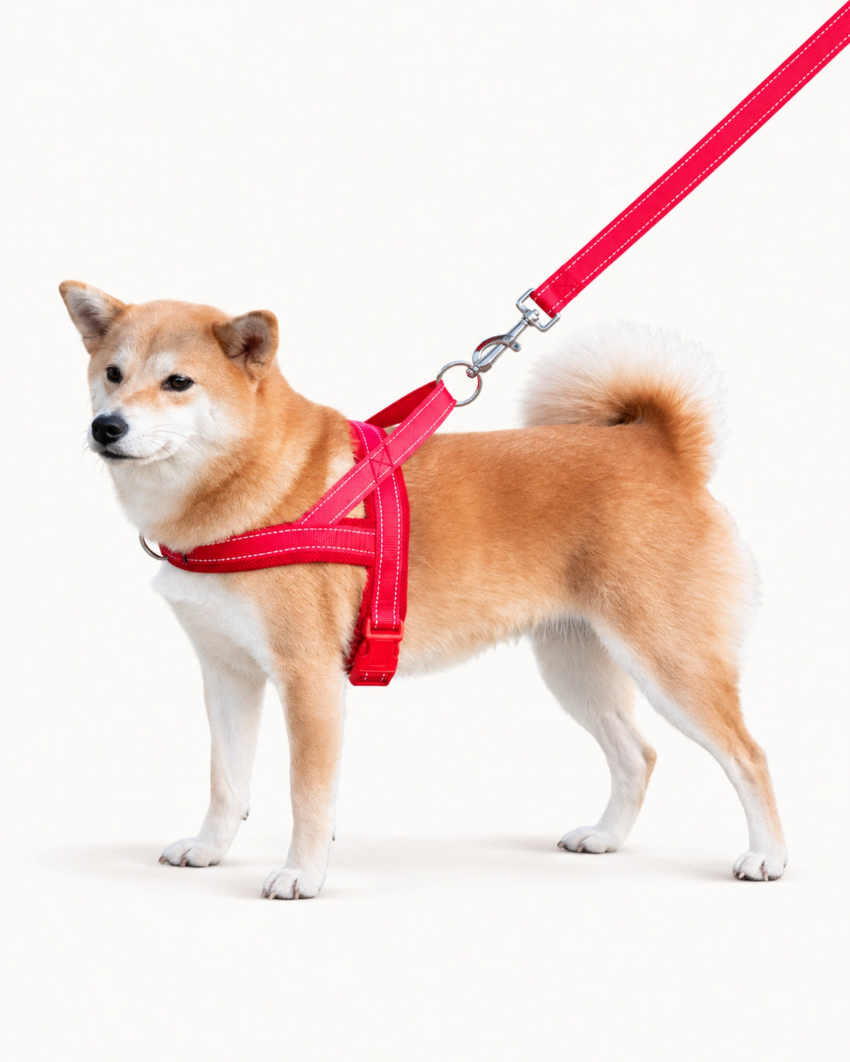 Reflective Adjustable Dog Harness