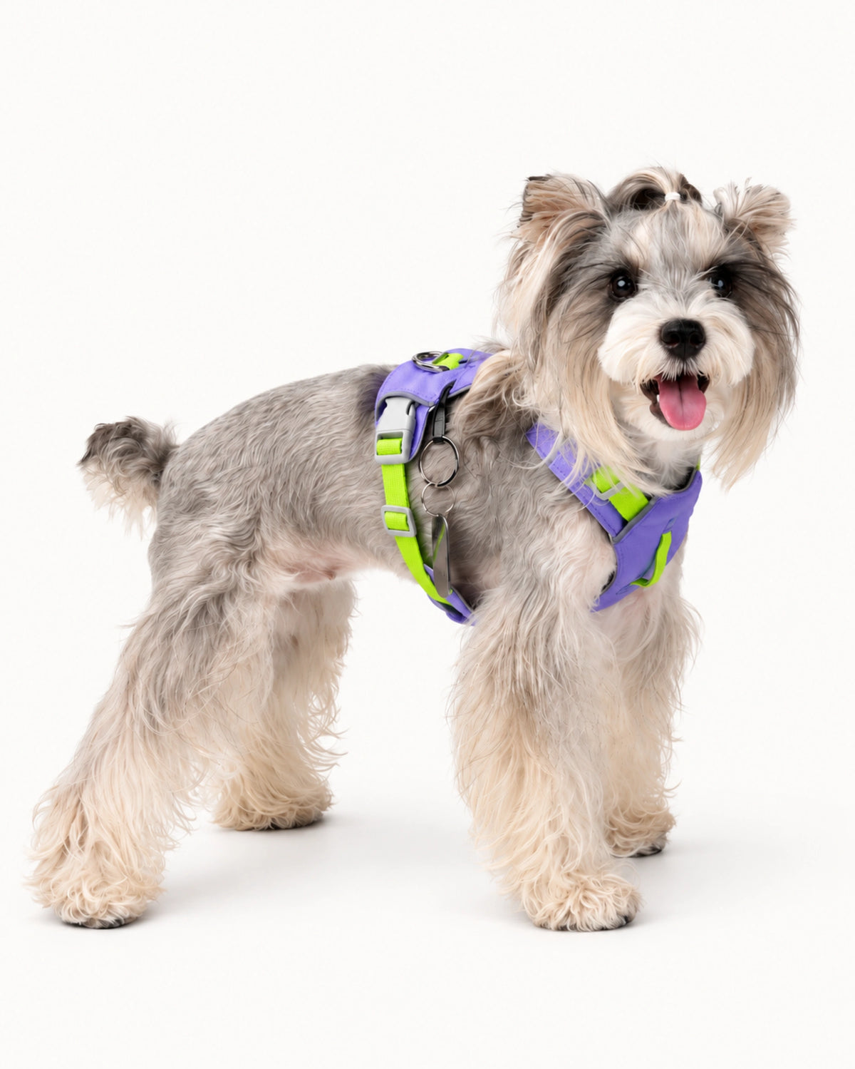 Lightweight H-Style Dog Harness