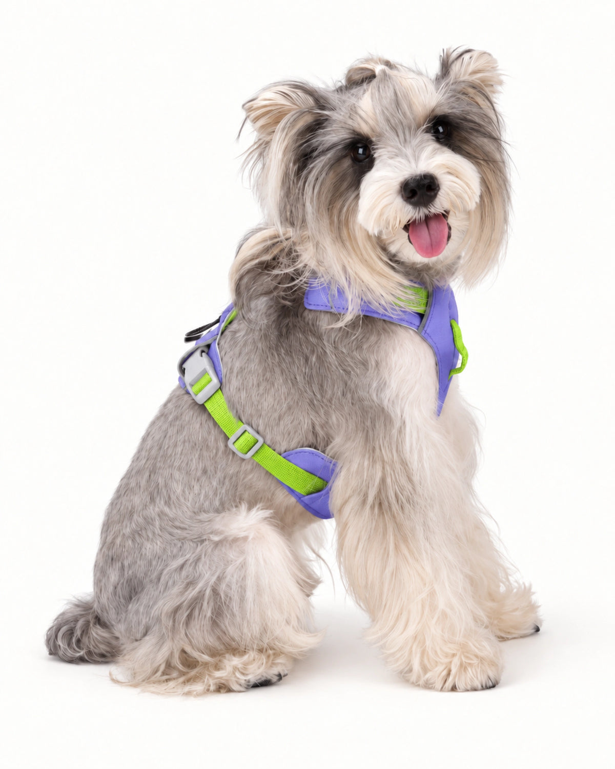 Lightweight H-Style Dog Harness