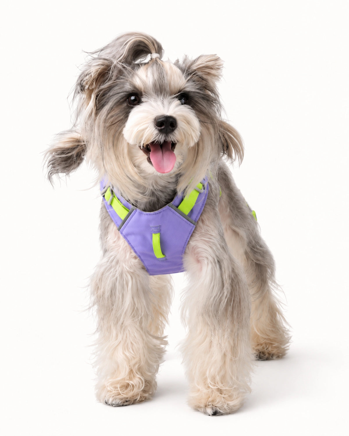 Lightweight H-Style Dog Harness