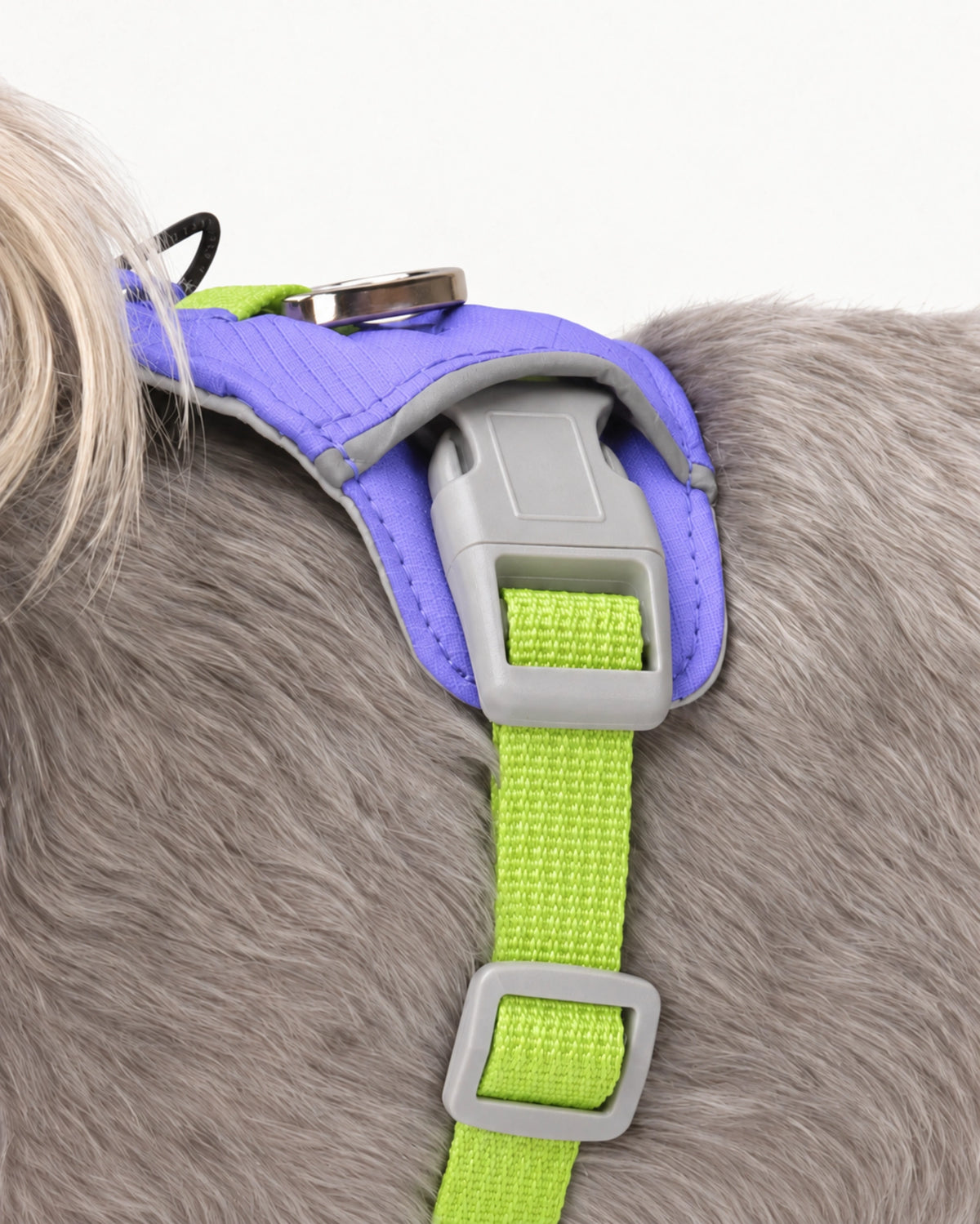Lightweight H-Style Dog Harness