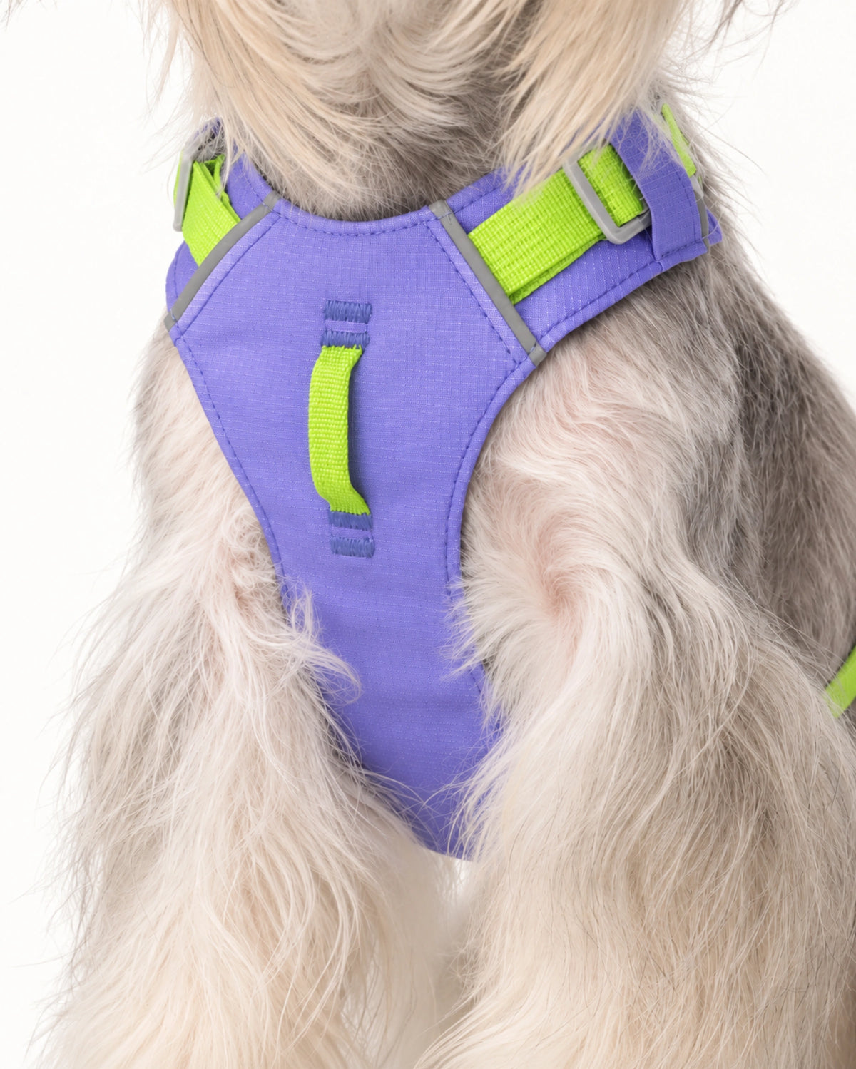 Lightweight H-Style Dog Harness