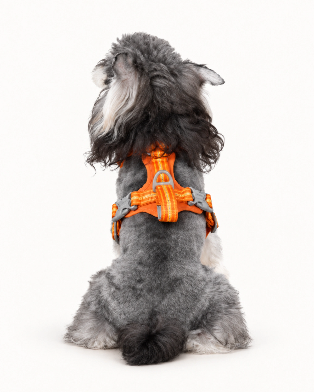Reflective Dog Harness