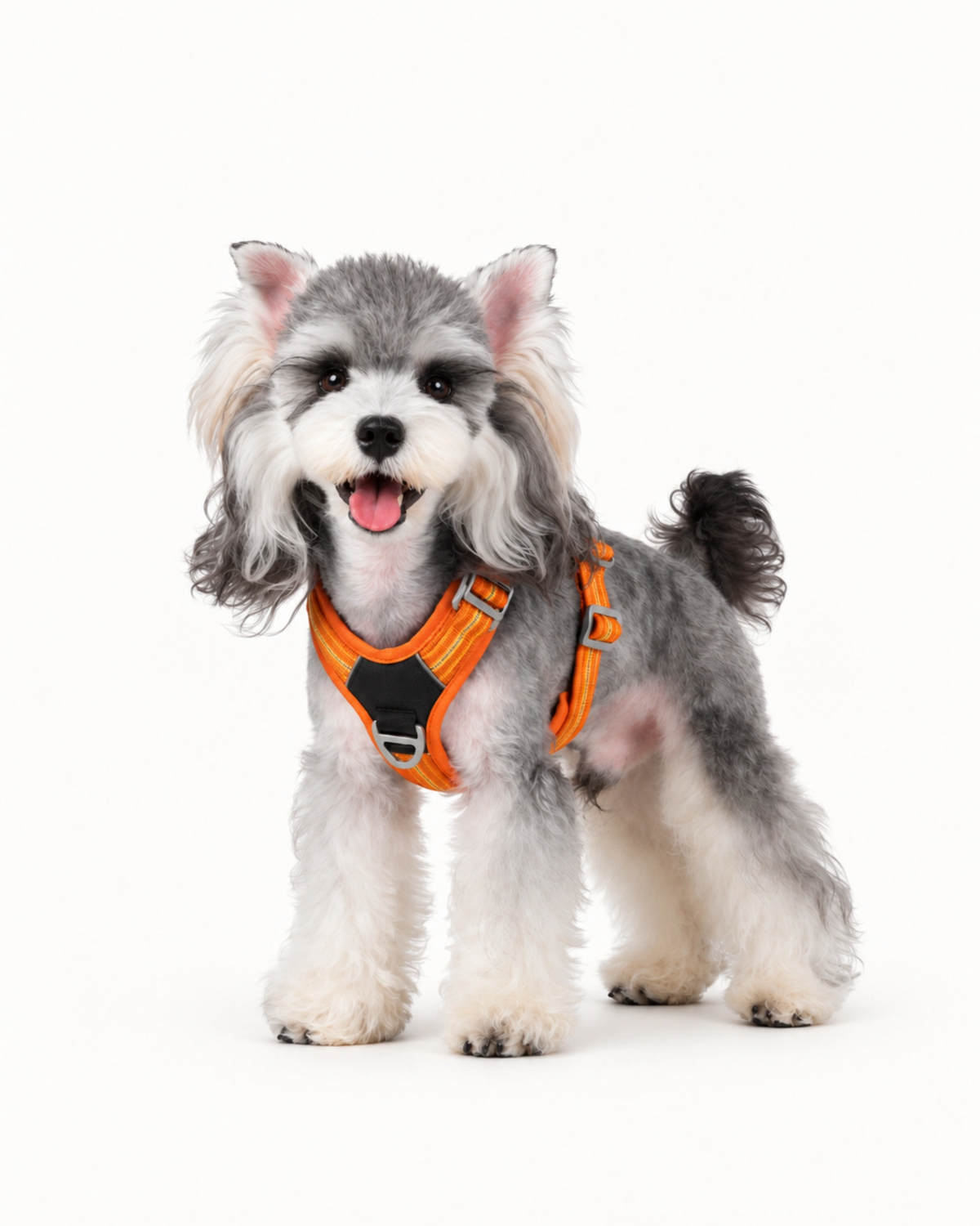 Reflective Dog Harness
