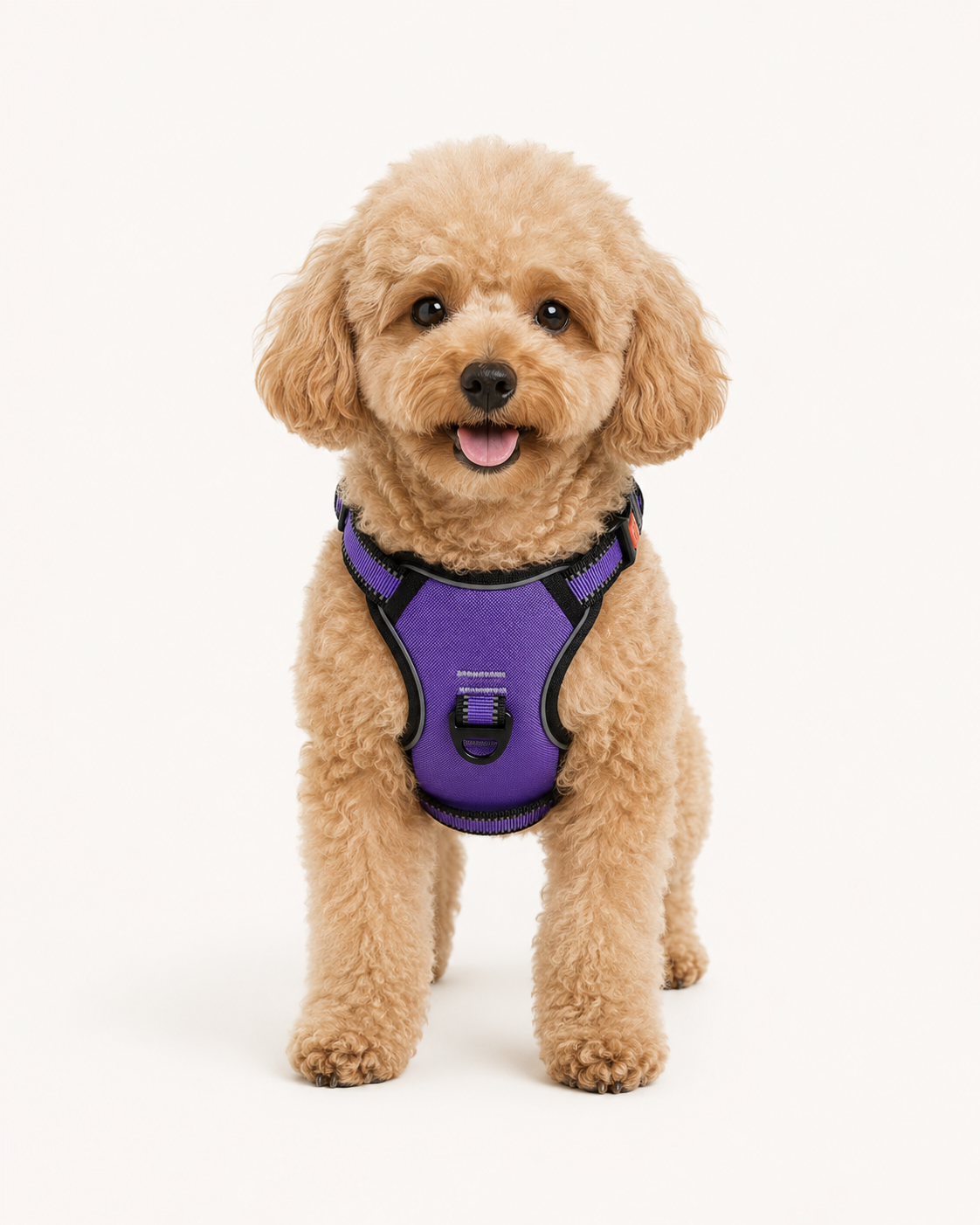Reflective Dog Harness Set