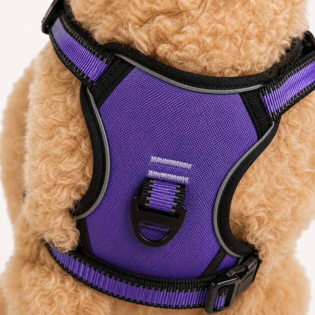 Reflective Dog Harness Set