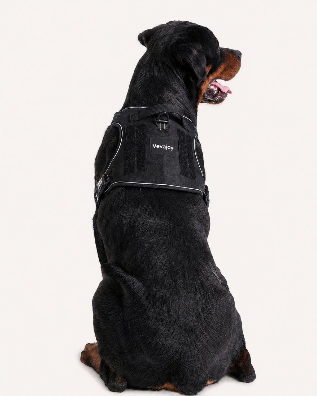 Heavy Dog Harness