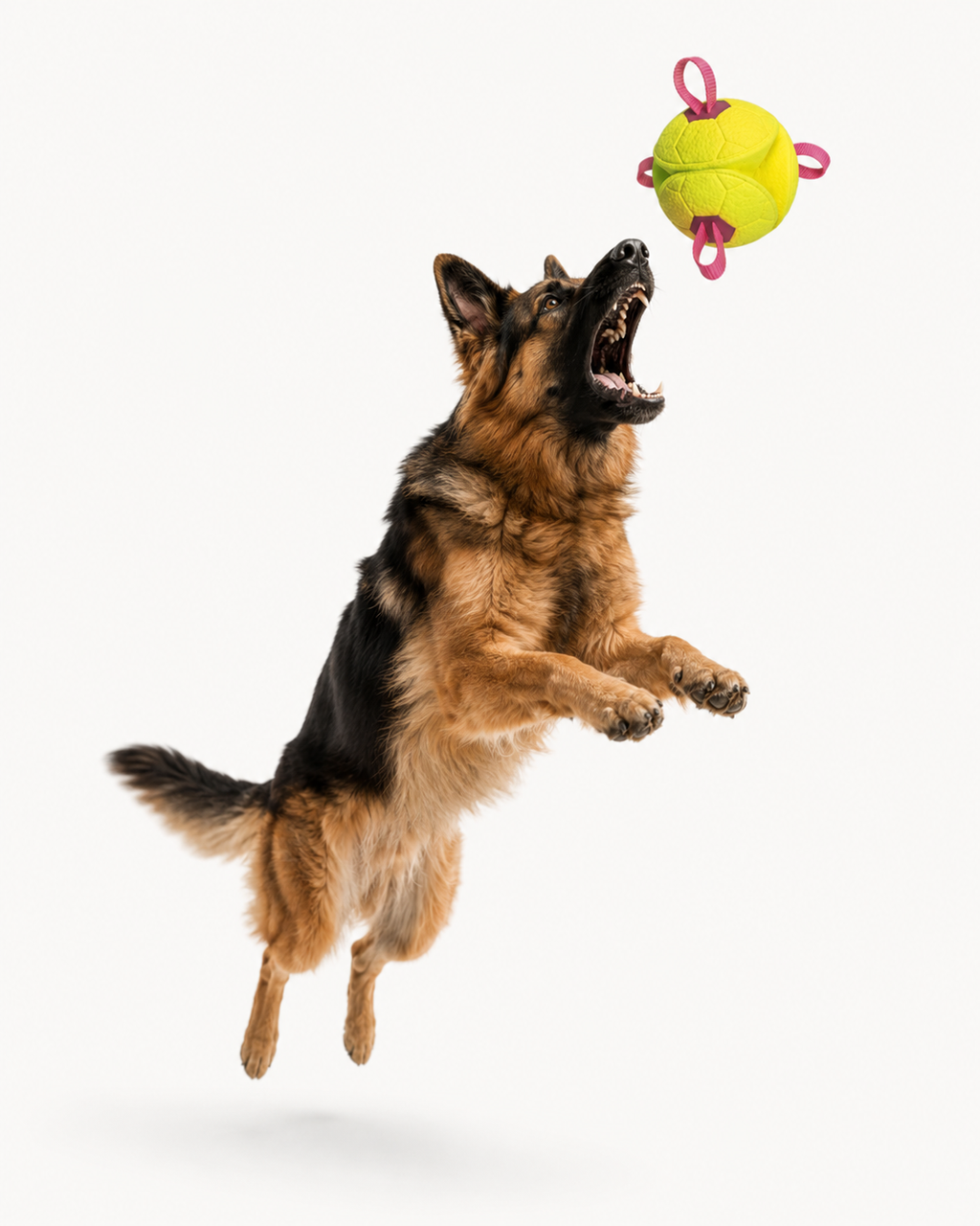 Floating Soccer Dog Toy