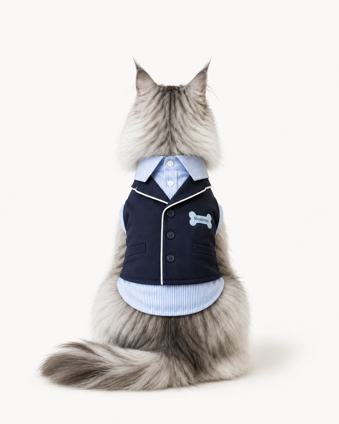 Cat Gentleman Outfit