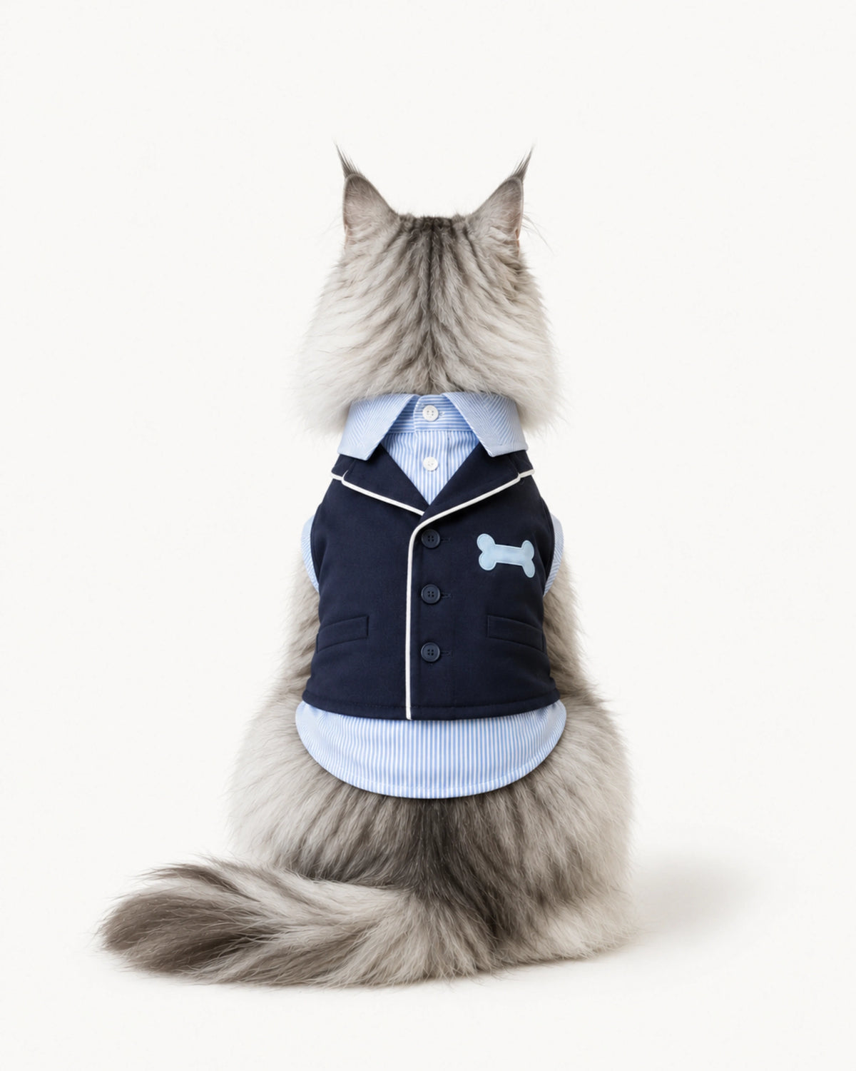 Cat Gentleman Outfit