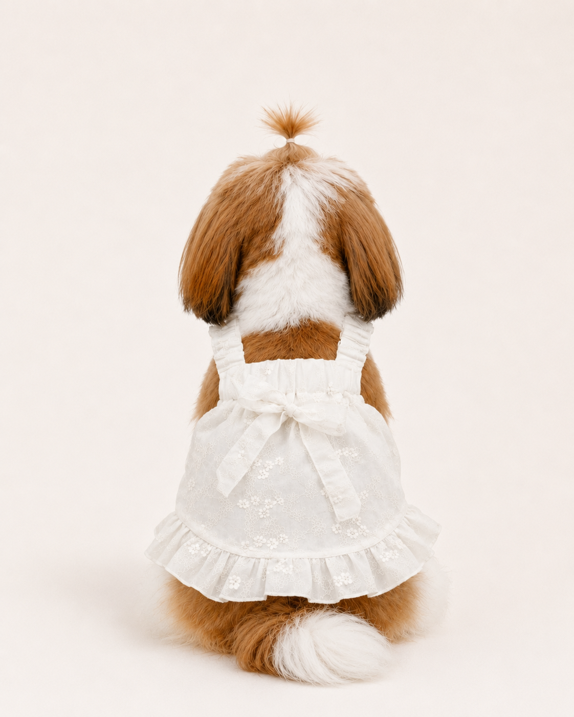 French Embroidered Pet Dress