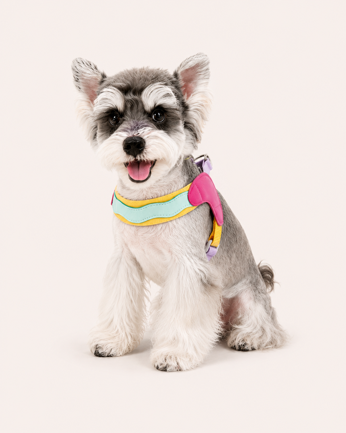 Dog Saddle Harness