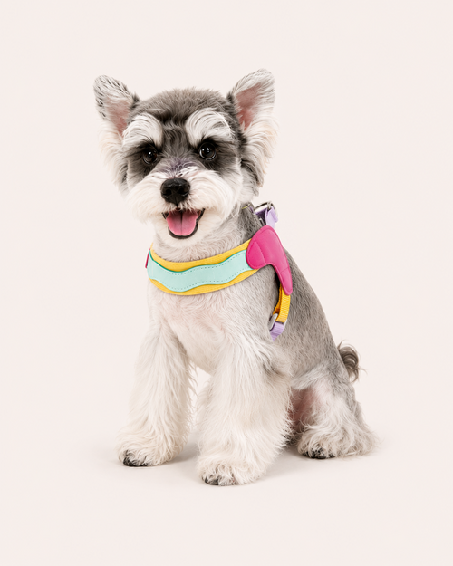 Dog Saddle Harness