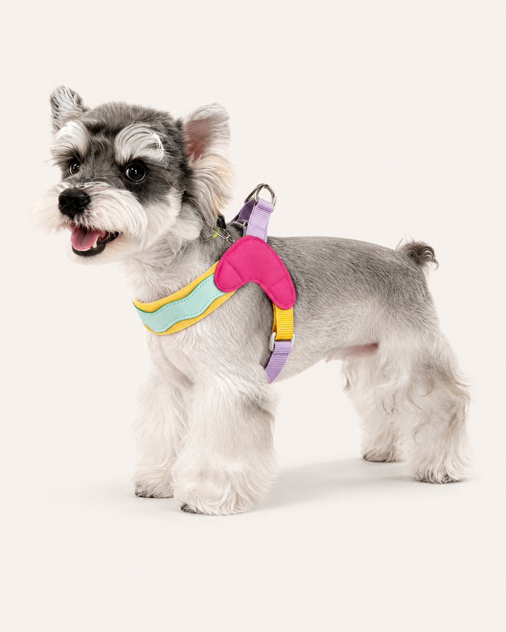 Dog Saddle Harness