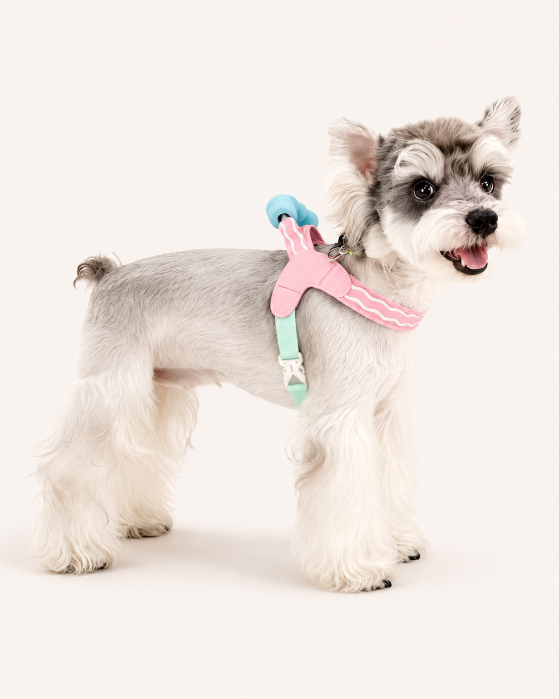 Puff-Cushion Dog Harness
