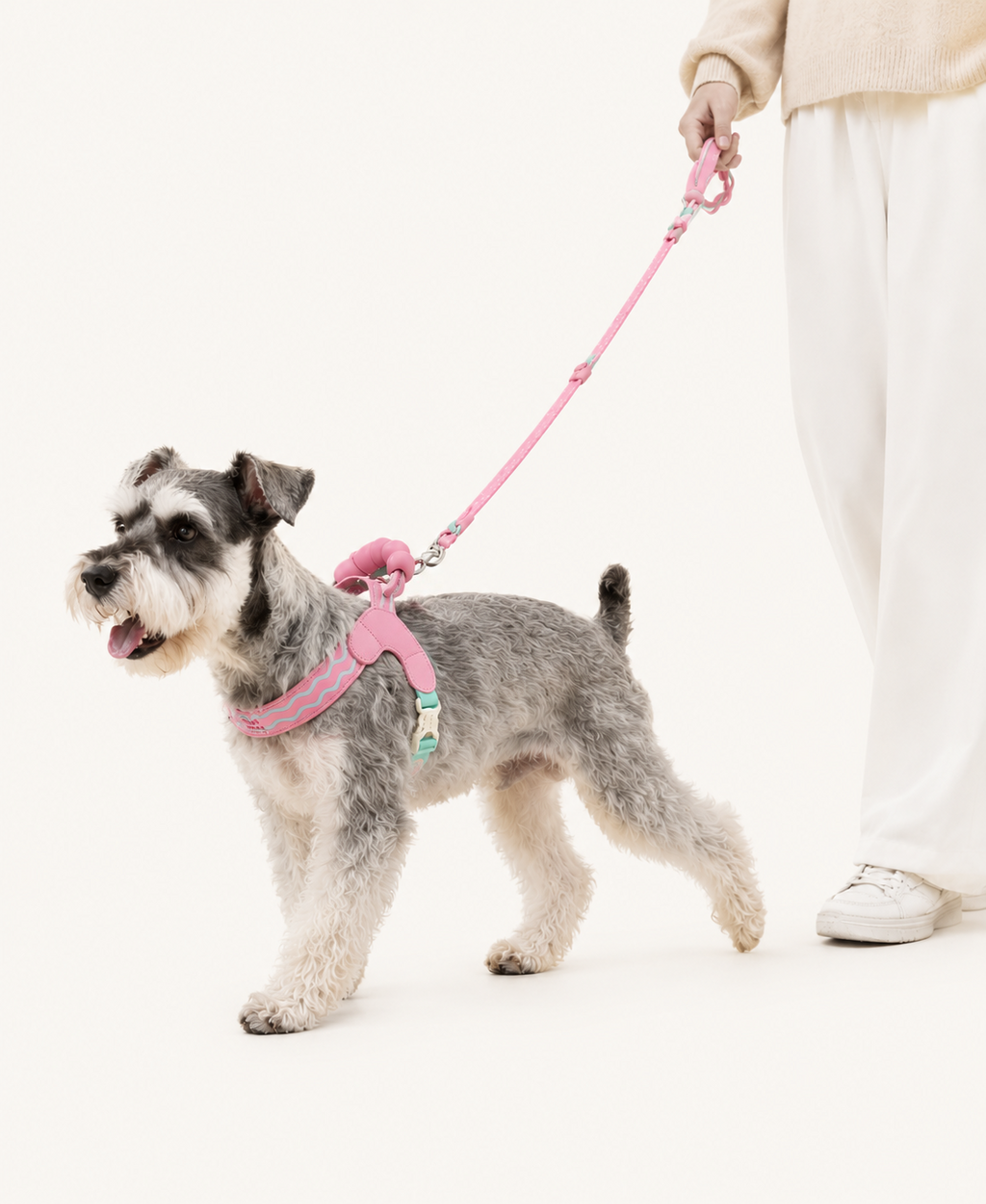 Puff-Cushion Dog Harness