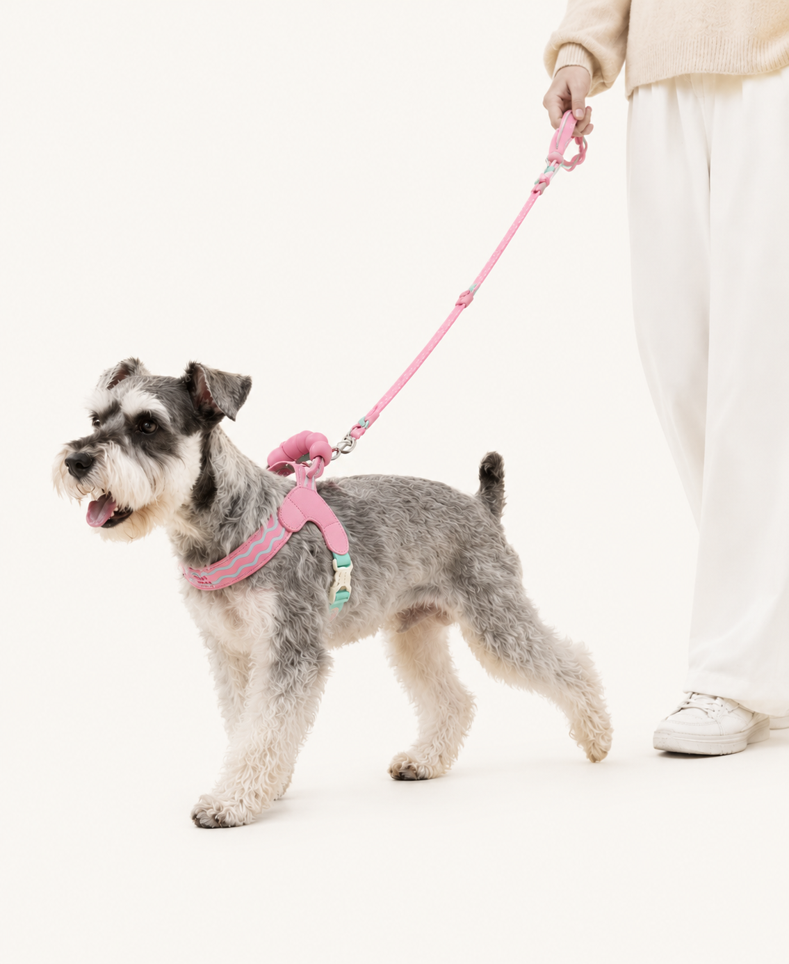 Puff-Cushion Dog Harness