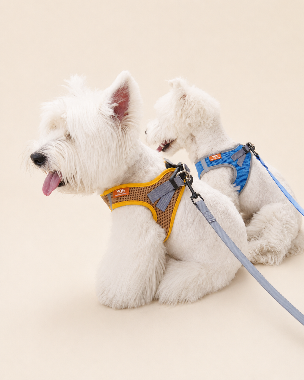 Bubble Mesh Dog Harness & Leash Set